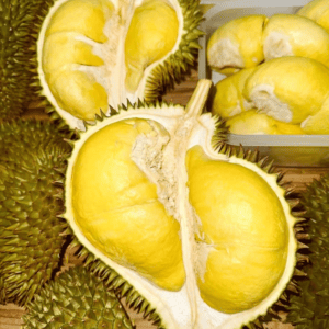 Hương sầu riêng chín mùi – DURIAN – V0050