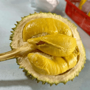 Alternative view of Hương sầu riêng chín mùi – DURIAN – V0053
