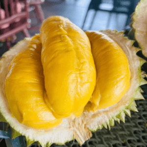Alternative view of Hương sầu riêng hạt lép – DURIAN – V0048