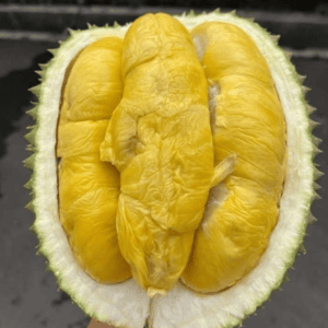 Alternative view of Hương sầu riêng chín đằm – DURIAN – V0051