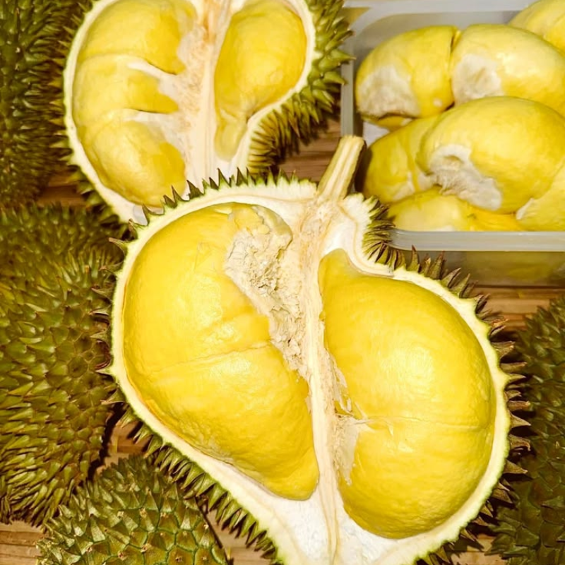 Hương sầu riêng