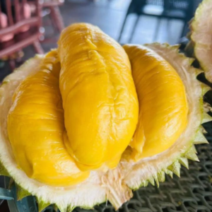 Alternative view of Hương sầu riêng hạt lép – DURIAN – V0048