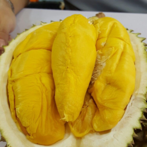 Hương sầu riêng chín đằm – DURIAN – V0051