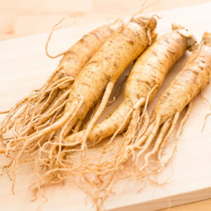 Hương Nhân Sâm – GINSENG – V0055
