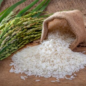 Hương Gạo – RICE FLV – V0083