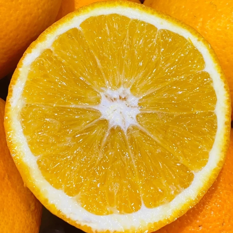 Hương cam bột tang – Orange – V0113 2 Hương cam bột tang – Orange – V0113 - Ảnh 2