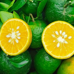 Alternative view of Hương cam mật – ORANGE – V0076