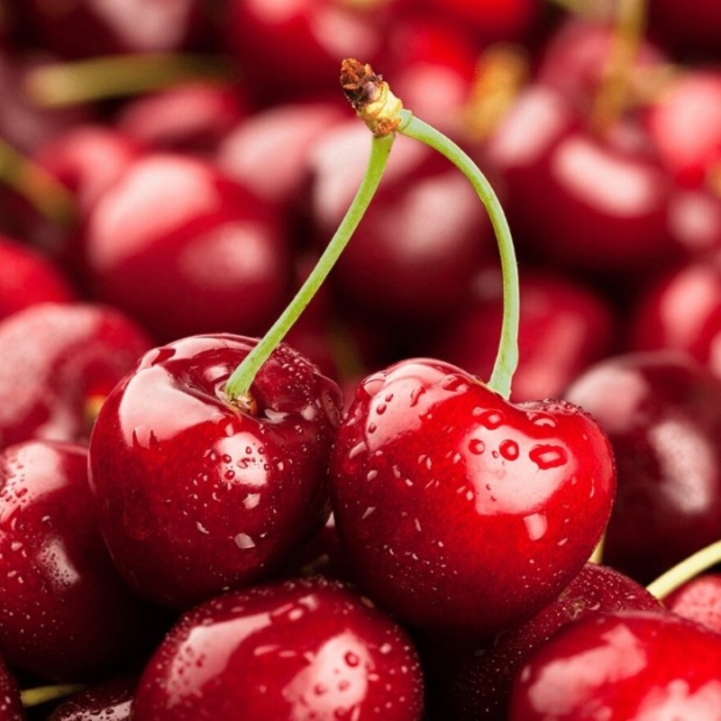 Hương cherry Mỹ – Cherry Wild – V0244 1 Hương cherry Mỹ – Cherry Wild – V0244