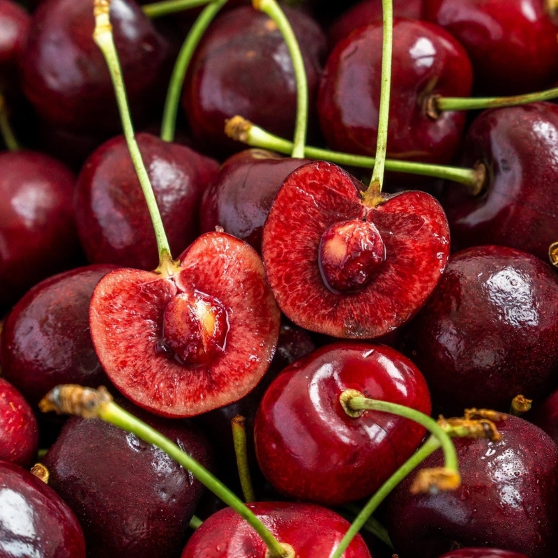 Hương cherry Mỹ – Cherry Wild – V0244 4 Hương cherry Mỹ – Cherry Wild – V0244 - Ảnh 4