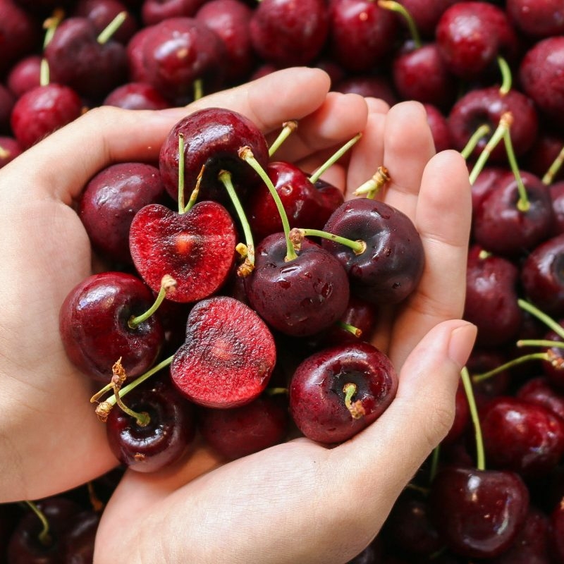 Hương cherry Mỹ – Cherry Wild – V0244 2 Hương cherry Mỹ – Cherry Wild – V0244 - Ảnh 2