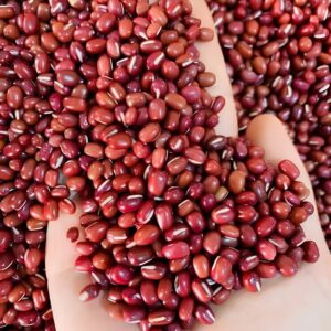 Hương Đậu Đỏ – PRED BEAN – V0081