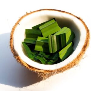 Alternative view of Hương dừa lá dứa – COCONUT PANDAN – V0228