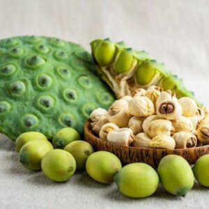 Hương hạt sen hầm – LOTUS FLV – V0073