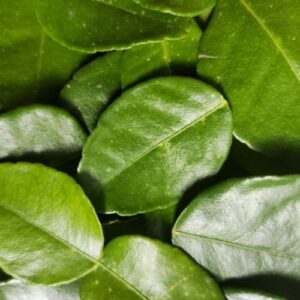 Alternative view of Hương lá chanh – LEMON LEAF – V0152