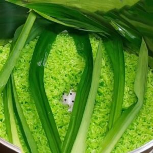 Hương lá dứa nấu nếp – PANDAN – A428