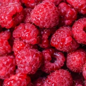 Hương mâm sôi – Raspberry – V0241