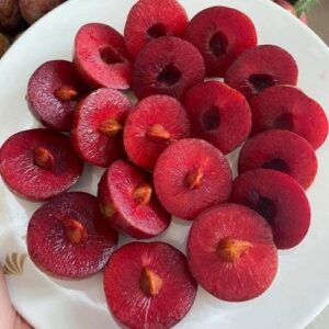 Alternative view of Hương Mận Hà Nội – Plum – V0243