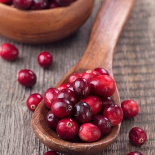 Hương Nam Việt Quất – Cranberry – V0242 2 Hương Nam Việt Quất – Cranberry – V0242 - Ảnh 2