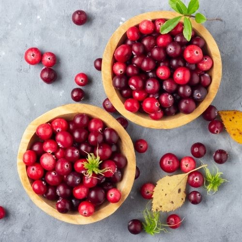 Hương Nam Việt Quất – Cranberry – V0242 3 Hương Nam Việt Quất – Cranberry – V0242 - Ảnh 3