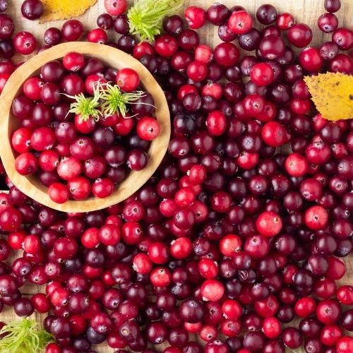 Hương Nam Việt Quất – Cranberry – V0242 4 Hương Nam Việt Quất – Cranberry – V0242 - Ảnh 4