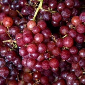 Hương nho – GRAPE – A686