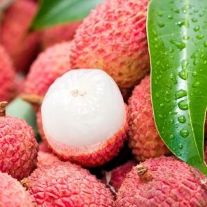 Hương vải – LYCHEE – A046