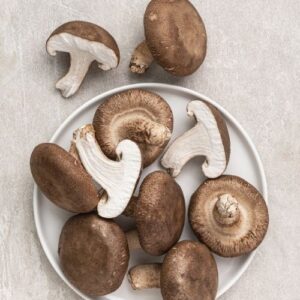 Hương nấm đông cô – MUSHROOM – V0151