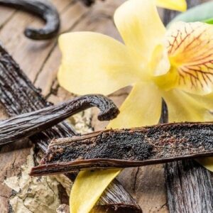 Alternative view of Hương vanila – VANILLA – V0092